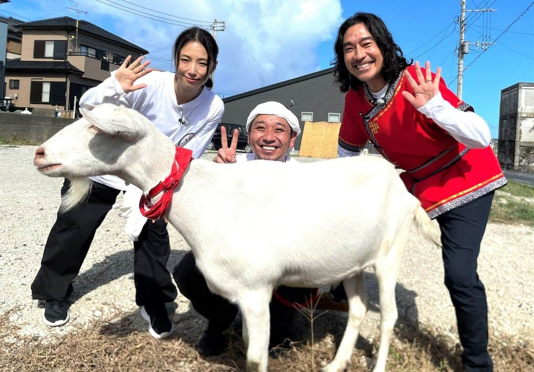 テレビ東京さんのインスタグラム写真 - (テレビ東京Instagram)「. ＼#ヤギと大悟🐐🌱めぇ／  本日から4週にわたり 千葉県銚子市で雑草モグモグ旅🌈  ☀️今回のゲスト☀️ 🍀9/8、9/15、9/29 #MEGUMI さんは大悟と同郷の岡山出身‼️軽トラトークで大盛り上がり🛻  🍀9/15、9/22、9/29 #トータス松本 さんは持ち前の人の良さとフランクさで地元の方と触れ合いまくり😊  本日の放送は✨ ⭐️ポポ初の海🌊で大興奮⁉️ ⭐️まさかの発表に大悟も驚き⁉️ ⭐️子ヤギ・モロコシ🐐も登場🥰 　その激カワな姿にポポ拗ねる⁉️ ⭐️大悟と同郷・岡山出身の #MEGUMI さんと地元トーク😊  リアルタイム＆見逃し配信🌱 ➡️https://tver.jp/live/simul/lein7nurqt  主役 #ヤギ(通称 #ポポ) 相方 #大悟(#千鳥) 🐐…」9月8日 16時57分 - tvtokyo_pr