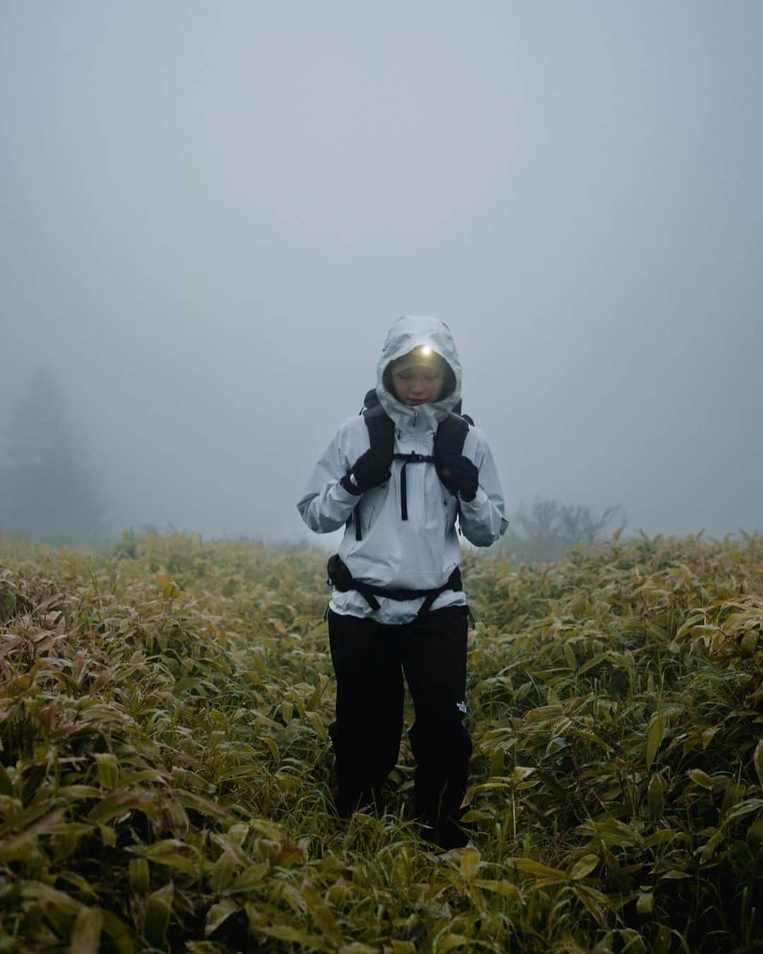 星南のインスタグラム：「. ⁡ ⁡ @thenorthfacejp  MOUNTAINEERS'WEARING 2023 AUTUMN&WINTER のモデルをさせていただきました🗻 ⁡ ⁡ ✔︎ 美ヶ原 - 王ヶ鼻(長野県)  2,008m ⁡ 撮影オフショット( ◠‿◠ ) 待機中に、日光浴をしながら気持ちいいなーって ウトウトしていたら一瞬寝落ちするという珍事件😶‍🌫️ ⁡ 山ではあるけれど、平坦な道が続いていて 景色も見晴らしがよくすごく素敵でした✨ これはトレランには最高のコースな気がする💗 ⁡ 特別天然記念物の野生ニホンカモシカにも 逢うことができてたまらなく幸せだった🫢 ⁡ ⁡  photo by @tatsuyakanabe @mt.takuro   ⁡ ⁡ #のぼっチャレンジ #美ヶ原 #王ヶ鼻 #登山 #登山コーデ」