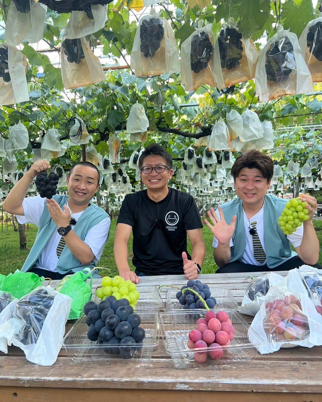 山口提樹さんのインスタグラム写真 - (山口提樹Instagram)「ぶどう狩り最高ーーーー🍇 #rcc #イマナマ #スマイルラボ #メンバー」9月8日 17時02分 - memberyamaguchi