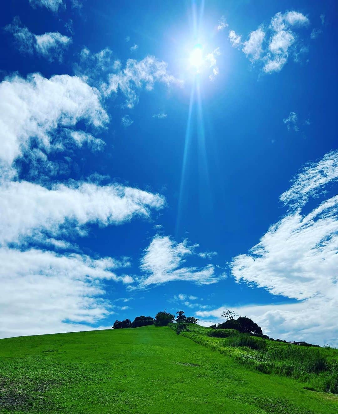 相澤樹さんのインスタグラム写真 - (相澤樹Instagram)「台風なのに、静岡は快晴。 撮影出来るなんて！！すごい。絵みたいな色」9月8日 17時40分 - mikitiaizawa