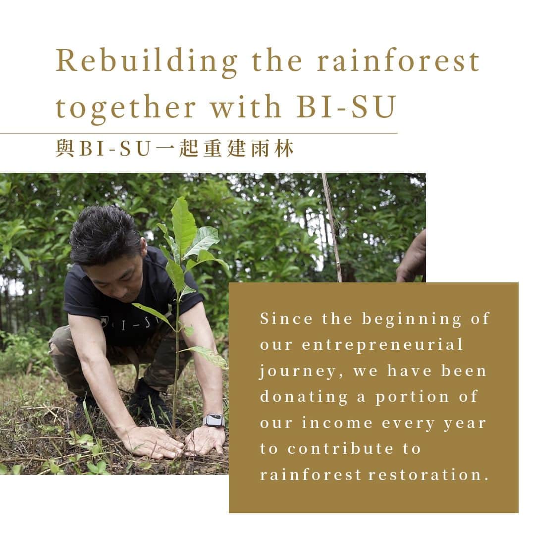 美巢（BI-SU） さんのインスタグラム写真 - (美巢（BI-SU） Instagram)「Borneo has given us the miraculous treasure of swiftlet's nests,  so we have transformed our gratitude into tangible action by planting green trees.  We hope that this beautiful cycle will continue,  and we also hope for your participation in changing the world with us. ーーー 婆羅洲給我們燕窩這個奇蹟寶物， 於是我們將感恩的心化為實體， 種下一棵棵綠樹。  期望這樣美好的循環可以持續實現， 也希望您的加入， 與我們一起改變世界。  #bisu #美巢bisu #birdnest #superfood #beauty #health #skincare #美巢BISU #sustainability #gift」9月8日 17時44分 - bi_su_official_global