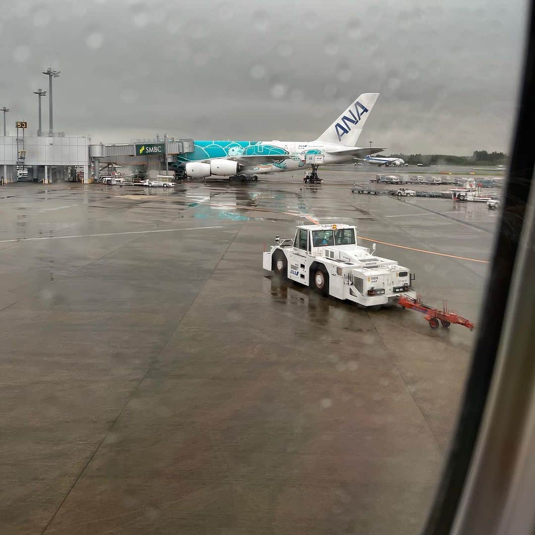 村上隆さんのインスタグラム写真 - (村上隆Instagram)「We're taking off from Narita, but a typhoon is coming! 🌪️🌧️」9月8日 17時44分 - takashipom