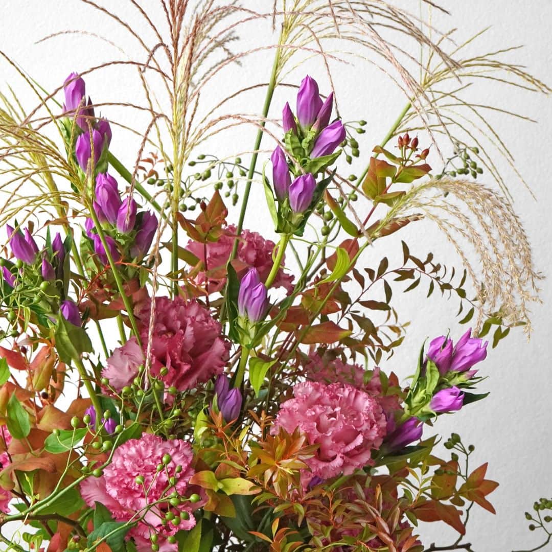 AOYAMA_HANAMOさんのインスタグラム写真 - (AOYAMA_HANAMOInstagram)「季節感あふれる、こっくりと深みのある花⾊合わせ。 ・ 紫のリンドウや深みのあるピンクのトルコキキョウ、⾚く⾊づいたリーフや実ものなど。揺れるススキが秋の⾵情を演出する、野趣豊かな⾼さのあるアレンジメントです。 ・ 秋の代表的な花であるリンドウ。 現在では品種改良が進み、多彩な花⾊が流通していますが、古来より⾼貴な⾊とされてきた紫⾊のリンドウは、敬⽼の⽇の贈り物としても⼤変⼈気があります。 またリンドウの根の部分には薬効成分が含まれており、胃腸の薬として重宝されていた歴史もあることから、おじいさま、おばあさまの健康と⻑寿を願って贈るのにもふさわしい花といえますね。 敬⽼の⽇のお祝いに、ぜひ紫のリンドウを使ったアレンジメントや花束をお贈りください。 ・ 商品名：敬⽼の⽇アレンジメント＜秋⾵＞ - - - #aoyamahanamo #青山花茂 #お花のある生活 #花が好きな人と繋がりたい #花を飾ろう #花のある暮らし #花のあるくらし #花のある日常 #癒しの花 #季節の花 #旬の花 #花とおうち時間 #花贈り #フラワーギフト #花の贈り物 #リンドウ #トルコキキョウ #ススキ #すすき #ユキヤナギ #ヒペリカム #野ばらの実 #リキュウソウ #ベビーハンズ #敬老の日 #敬老の日ギフト #アレンジメント #長寿祝い #秋の花」9月8日 18時00分 - aoyama_hanamo