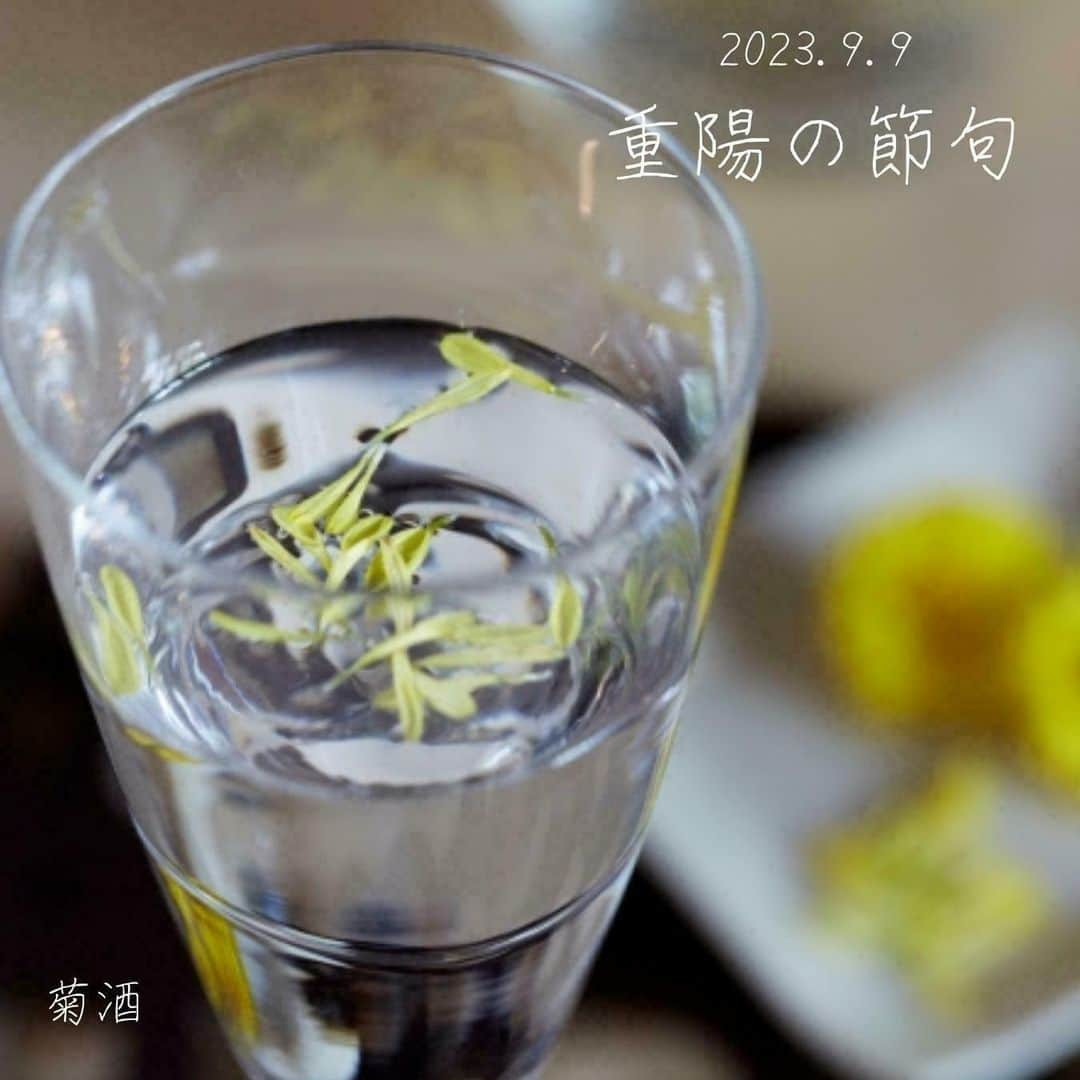 辰馬本家酒造株式会社(白鹿) さんのインスタグラム写真 - (辰馬本家酒造株式会社(白鹿) Instagram)「9月9日は五節句のひとつ 「#重陽の節句 」です🍆  「#菊の節句 」とも呼ばれ、この日には菊酒を飲んで 長寿や健康を願ったといいます🍶🌼  菊酒は、蒸した菊の花びらを器に入れ、冷酒を注ぎ 一晩置くことで香りを移して作ります。 現代では、菊の花びらを散らした盃に冷酒を注いで 飲むことが主流です。  さらに、「くんち（九日）に茄子を食べると中風に ならない」という言い伝えもあります。 「中風」とは、発熱や悪寒、頭痛などの症状の総称です。 重陽の節句に「#茄子田楽 」や「#焼き茄子」などの 茄子料理を食べ、不老長寿や無病息災を祈りましょう。  甘いお味噌がたっぷりの茄子田楽には #黒松白鹿ひやおろし純米もち四段仕込 を🍶 甘みを帯びた深い旨みが絡み合い調和します。  あっさり醤油風味の焼き茄子には #黒松白鹿特別本醸造山田錦 を🍶　みずみずしい 味わいと柔らかな旨みが茄子の甘みを引き立てます。  旬の秋茄子料理🍆と白鹿🍶で秋を感じませんか😊  商品は当社オフィシャルアカウント @hakushika_official のプロフィール欄URL （白鹿オンラインショップ）よりご購入いただけます。  いつもご覧いただきありがとうございます。 いいね、コメント、フォローしていただけるととても嬉しいです✨  #菊酒 #秋茄子 #旬のもの #おいしいもの #🍆 #ひやおろし #特別本醸造山田錦 #白鹿 #黒松白鹿 #辰馬本家酒造 #日本酒 #西宮 #灘五郷 #hakushika #kuromatsuhakushika #sake #nihonshu #nishinomiya #nadagogo #hyogo #japan #日本酒好き #日本酒好きな人と繋がりたい #ポン酒タグラム」9月8日 18時01分 - hakushika_official