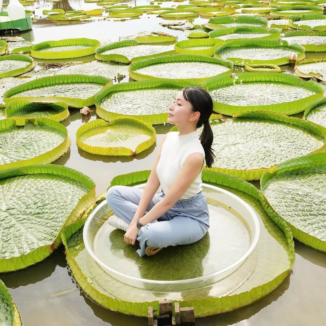 岩間恵のインスタグラム