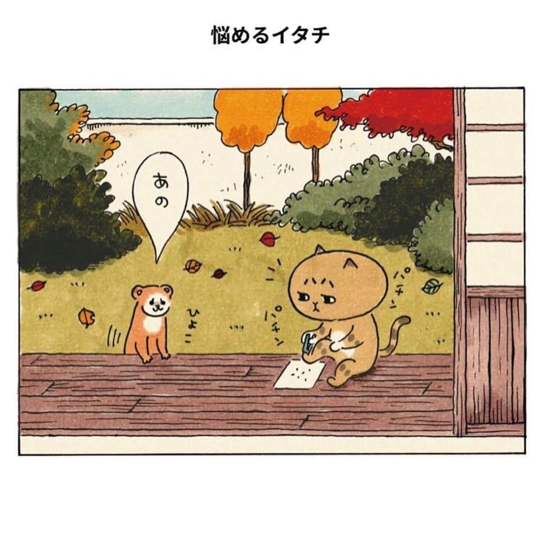 eskのインスタグラム：「: : おさらいミィちゃん👀  「悩めるイタチ」  だいじょーぶ。🍁  #ミィちゃんは今日もがんばらない  #イラスト#イラストレーター#おえかき#らくがき#まんが#猫#ねこ#ネコ#昭和レトロ#インテリア」