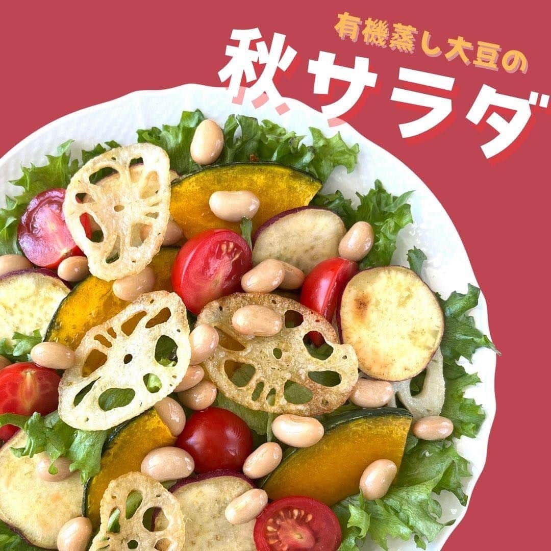 だいずデイズ（株式会社だいずデイズ）さんのインスタグラム写真 - (だいずデイズ（株式会社だいずデイズ）Instagram)「こんばんは✨ まだまだ暑いですねー！ 皆様はいかがお過ごしでしょうか？  食品もアパレルももうすっかり秋に切り替わりましたね〜🍂  秋は美味しいものがおおいので、ついつい食べ過ぎてしまう•••  本日は秋にぴったりの華やか秋サラダをご紹介します🥗✨  さつまいもに、かぼちゃに、蓮根に😍  そして、ほっくりといえば蒸し大豆！！！！  秋にぴったりの美味しいサラダです☺️ぜひお試しください🙏✨  #だいずデイズ #daizudays #オーガニック　#ソイプロテイン　#植物性たんぱく質　 #オーガニック生活  #有機蒸し大豆　#おうちサラダ」9月8日 19時01分 - daizudays