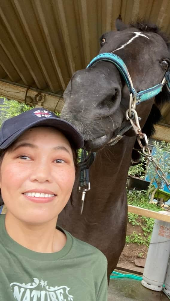 業務田スー子のインスタグラム：「これぇぇ〜 絶対うまいやつぅ〜❤︎ 。。。馬だけに。。うまいやつ(； ･`ω･´)  ふすま🐴オートミール🐴黒糖🐴りんご🐴小麦粉🐴 手作りしたら大喜びしてくれたー❤︎  味はね。。。米糠だね🤣不っ味っ！ 黒糖林檎風味のほぼほぼ米糠味🤣  尻尾をヒュンヒュンして ちょうだいちょうだいしてたよ不味いのにww  最後は怪獣ちゃーぴ🐾でっかい（笑）  #馬好き#馬が好き#horselove #馬のおやつ#ねこすたぐらむ #猫のいる暮らし #茶トラ #デブ猫 #ちゃーぴは10kg#馬だけに旨いやつ#業務スーパー#業務田スー子」