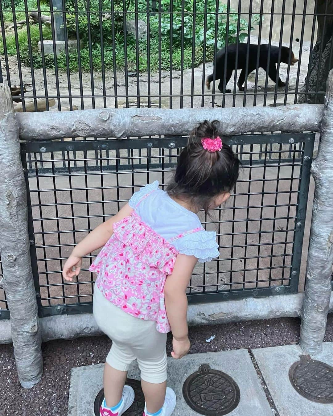 染矢すみれさんのインスタグラム写真 - (染矢すみれInstagram)「〻 夜の動植物園🌙 取材して楽しすぎたので 初日に家族で行ってきました🐘 (時差やば) 明日が最終日みたいです🦩 みなさま良い週末を🫶  #福岡市動植物園 #夜の動物園 #福岡子連れスポット #福岡おでかけ #福岡ママ」9月8日 18時56分 - someya_sumire