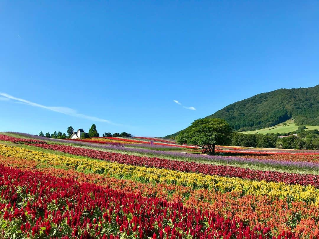 宮城県観光課のインスタグラム