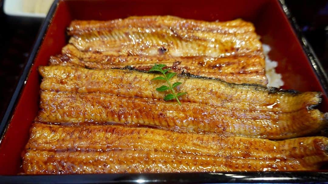 IKKO’S FILMSさんのインスタグラム写真 (IKKO’S FILMSInstagram)「これぞ関東風の鰻。 ここで一つ触れておか