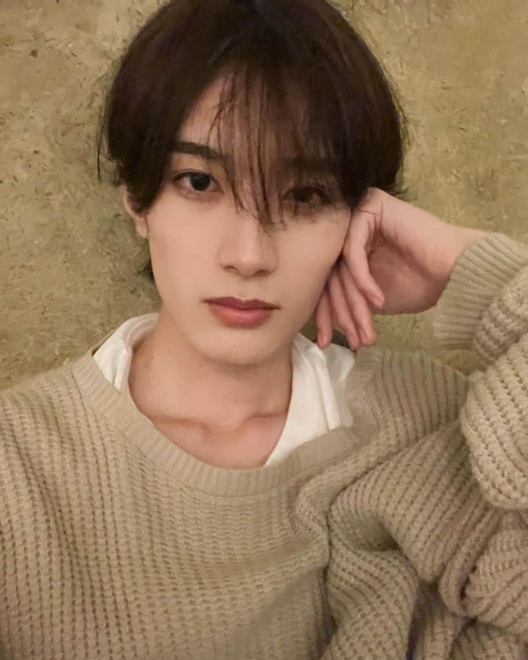 のインスタグラム：「🐑🐑🐑🐑🐑ねむい」