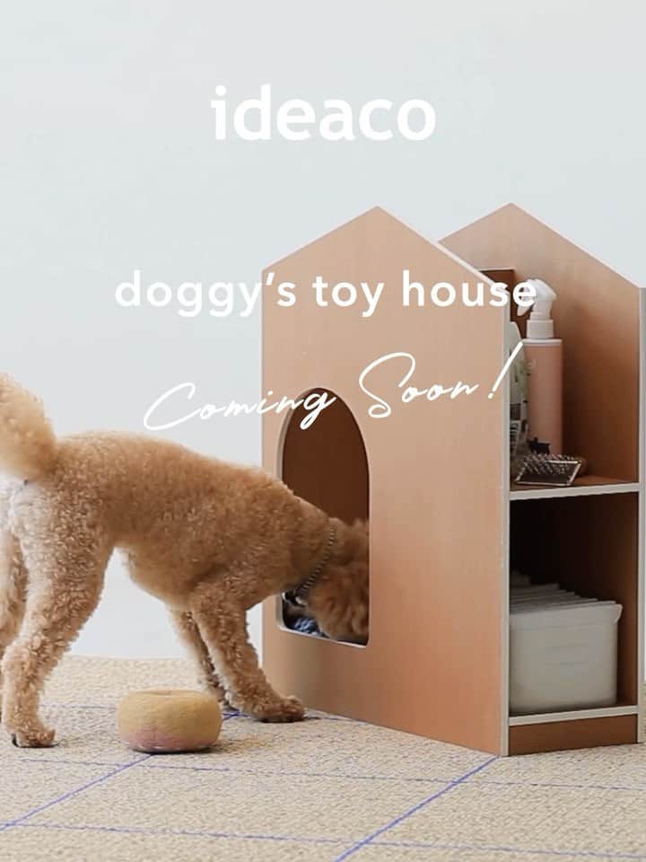 ideacoのインスタグラム：「・ ・  coming soon!!!!!!   ワンちゃんが自分でおもちゃを取り出せる トイストッカー🐶  ideaco  doggy's toy house  2023年10月頃入荷予定です☺︎  投稿でもこれからちょっとずつ紹介していきますね☺️ 詳しくは商品ページまで。 (こちらも少しずつ更新します)  #ideaco  #イデアコ  #新製品  #2023aw #ペットのいる暮らし  #犬のいる暮らし  #シンプルインテリア #犬のおもちゃ #収納 #見せる収納  #わんちゃんのいる生活  #予約受付中   - - - - - - - - - - - - -  ideacoのアカウントは @ideaco_design へ移行中です。 フォロー&タグ付けはこちらでお願いいたします☺︎」