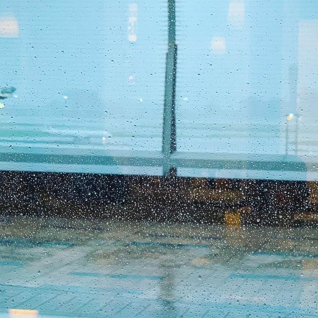 鈴木桃子さんのインスタグラム写真 - (鈴木桃子Instagram)「今日は朝4時起きで、雨の中ロンドンに旅立った娘(せいら)のお見送り🛫 あまりにも名残惜しくて、展望デッキに面してるカフェから飛行機✈️が離陸するのを見届けようとしたけれど、ただ滑走路をノロノロ走っているところしか見れなくてちょっと残念。でも15分遅れつつも無事飛び立ったようでホッとしました。 これからの2年近く、どうか元気に毎日を楽しく過ごせますように。いろんな事を見て、感じて、素晴らしい経験をたくさんできますように。頑張れららちゃん！  帰ってから私を見かねたw娘(みうみ)の提案で、癒やしを求めて近所にオープンしたばかりのサムエドカフェへ。 モフモフで人懐っこくて、超絶可愛らしくて萌え死にしそうになりました🥰😆 みゅうちゃん、ありがとね💓  てな感じで、なんだか早朝からいろんな感情で胸がキュっとなっている9月の雨の台風の1日w」9月8日 19時37分 - momokosuzuki