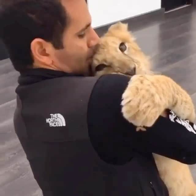 Black Jaguar-White Tiger のインスタグラム：「…」