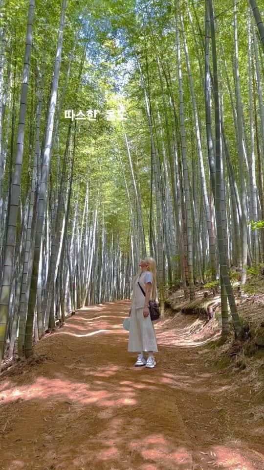 ヒョジョンのインスタグラム：「Windy day🎋🌿🍃」