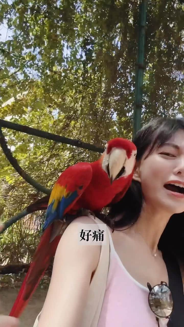 白癡公主のインスタグラム：「所以我才說大鳥更熱情…可是太大我會怕」