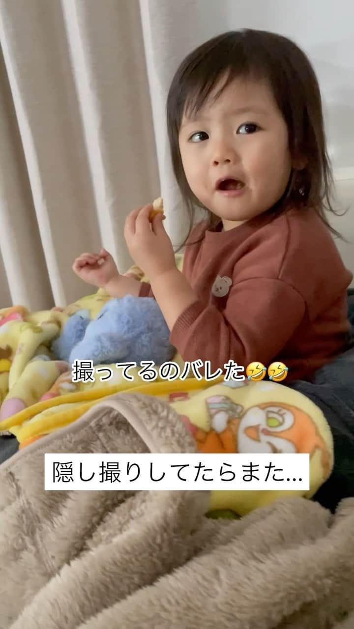 ゆにみあのインスタグラム：「1年前くらいのみあ🍘🍘 またぬいぐるみのお世話🐨」