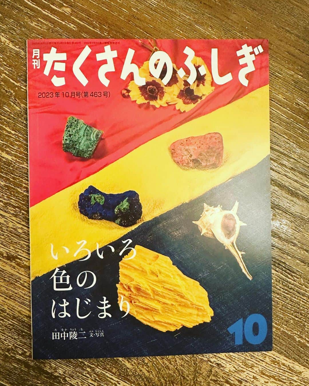 犬山紙子のインスタグラム