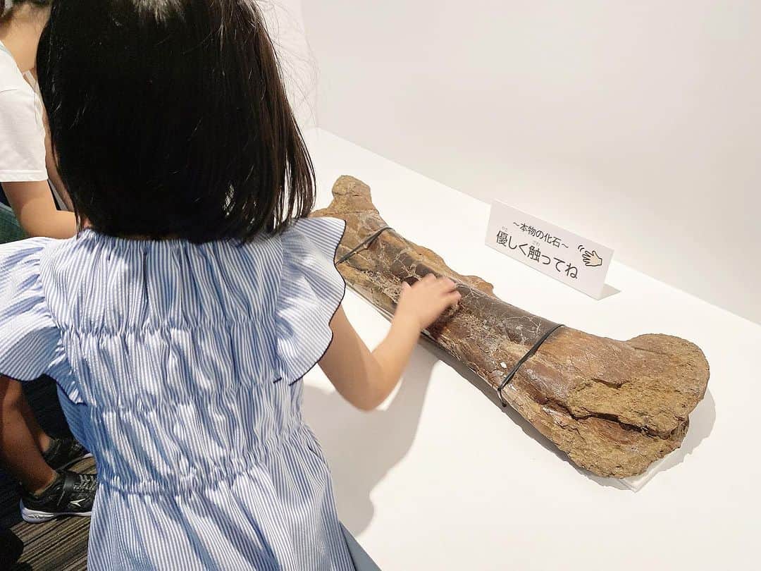 松尾依里佳さんのインスタグラム写真 - (松尾依里佳Instagram)「🦖🦕  東京ミッドタウンで開催中の 「DinoScience 恐竜科学博2023」に 先日家族で行ってきました〜！  娘も息子も大興奮！  恐竜同士が対峙するように展示されていて 驚いたり逃げようとしている 躍動感がすごいんです！  照明が生み出す恐竜たちの影が また一層迫力を増したり 走る恐竜の影なんて 娘は何往復も追いかけていました😂  主人がレギュラー出演中の 東京MXテレビの番組の放送で 何度も生中継されていたので見ていましたが 実際に行くと体感できるものがぜんっぜん違いました！  0歳の息子はまじまじと見て 最後は自分がダイナソーになっていました笑  結局、別の日にもう一回訪れた私たちでした😂  化石発掘などのアクティビティも楽しめました〜！  #恐竜科学博 #東京ミッドタウン @dinoscience_jpn」9月8日 21時16分 - erika.matsuo