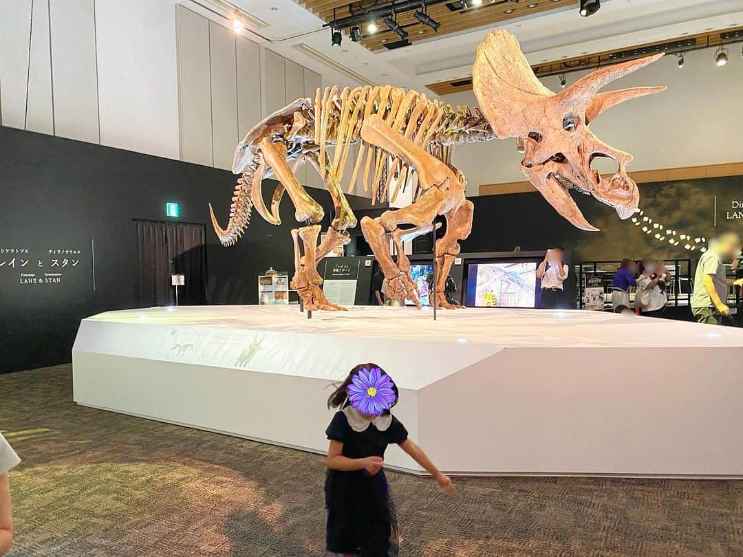 松尾依里佳さんのインスタグラム写真 - (松尾依里佳Instagram)「🦖🦕  東京ミッドタウンで開催中の 「DinoScience 恐竜科学博2023」に 先日家族で行ってきました〜！  娘も息子も大興奮！  恐竜同士が対峙するように展示されていて 驚いたり逃げようとしている 躍動感がすごいんです！  照明が生み出す恐竜たちの影が また一層迫力を増したり 走る恐竜の影なんて 娘は何往復も追いかけていました😂  主人がレギュラー出演中の 東京MXテレビの番組の放送で 何度も生中継されていたので見ていましたが 実際に行くと体感できるものがぜんっぜん違いました！  0歳の息子はまじまじと見て 最後は自分がダイナソーになっていました笑  結局、別の日にもう一回訪れた私たちでした😂  化石発掘などのアクティビティも楽しめました〜！  #恐竜科学博 #東京ミッドタウン @dinoscience_jpn」9月8日 21時16分 - erika.matsuo