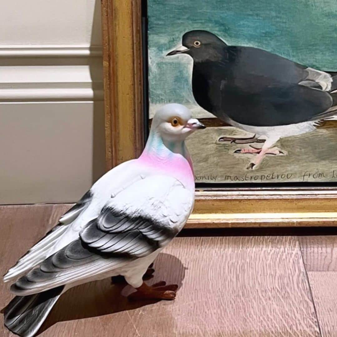 JWアンダーソンさんのインスタグラム写真 - (JWアンダーソンInstagram)「Two pigeons #lucianfreud #showsetup」9月8日 21時25分 - jw_anderson