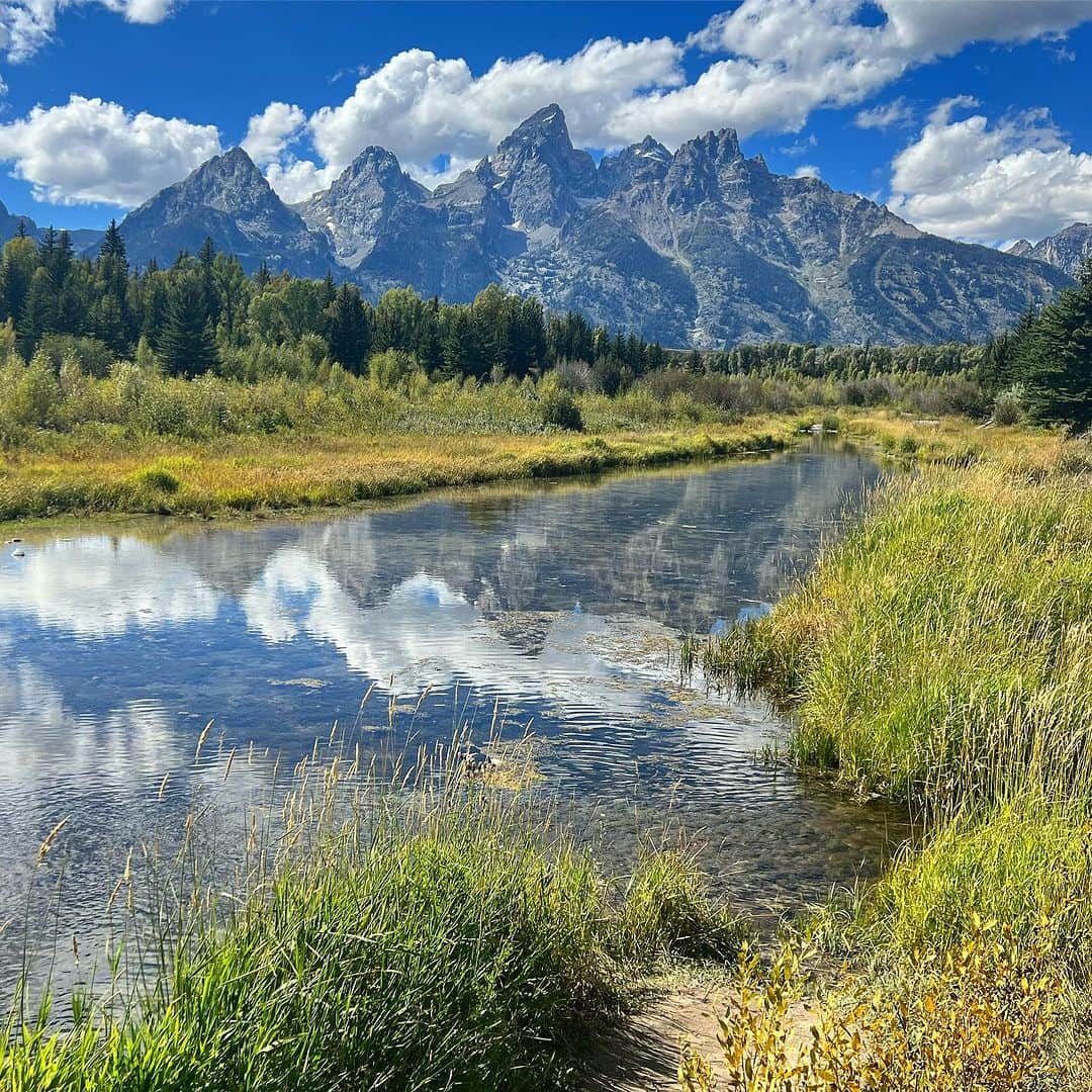 ジェイソン・ブラウンさんのインスタグラム写真 - (ジェイソン・ブラウンInstagram)「📍Grand Teton National Park!   すごい景色ですね！😍  #grandteton #grandtetons #grandtetonnationalpark #wyoming #jacksonhole #usa #nationalpark #nationalsparks #travel #hike #hiking #explore #mormonrow #views #family #trip #summer」9月8日 21時55分 - jasonbskates