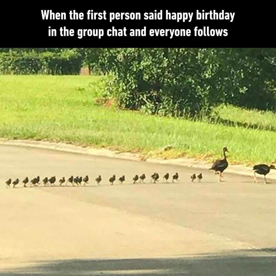 9GAGさんのインスタグラム写真 - (9GAGInstagram)「Are you the first one, the one that follows, or the one that doesn't say anything? - #friend #groupchat #happybirthday #messages #memes #9gag」9月8日 22時00分 - 9gag