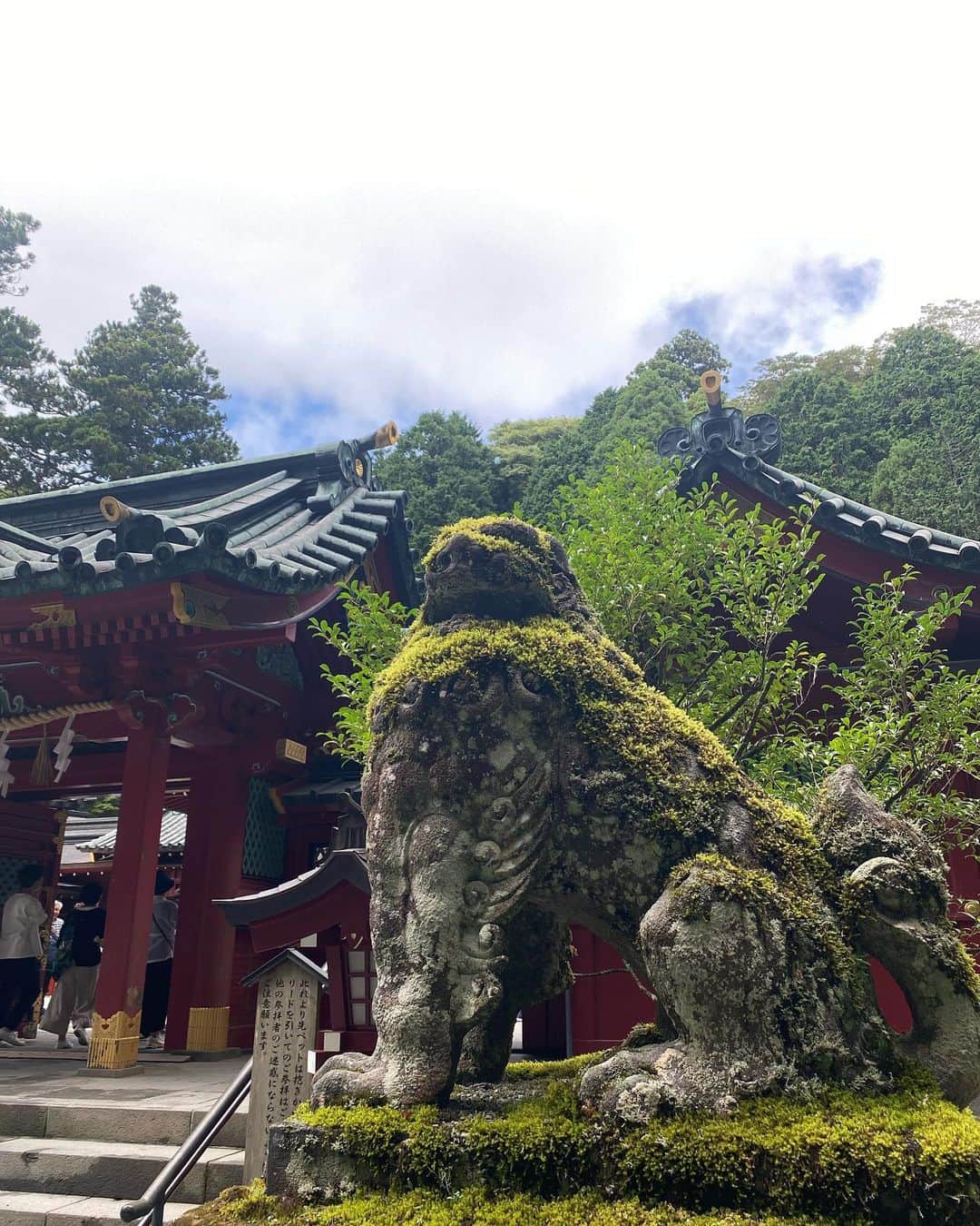 星奈あいのインスタグラム：「箱根神社、九頭龍神社、 だっこしてzoo！に行きました🐶‪🤍  箱根神社では絵馬とお砂とお水を。 九頭龍神社の本殿は毎月13日しかあいていないらしく断念🥹  だっこしてzoo は、いろんな動物と触れ合えて わんちゃんたちとめちゃ遊んでもらえる、箱根屈指のホットスポット…🐰✨✨ 猫さまは2頭いたらしいのだけど 園内自由に過ごしているらしく １頭はお目にかかれず🥲🥲笑  温泉とか神社とか動物とか自然とか ゆったり過ごすのが前よりも好きになってきた気がするᴗ  ᴗ ♡  #箱根神社 #九頭龍神社 #ぱわーすぽっと  #スピ旅 #星奈あい」
