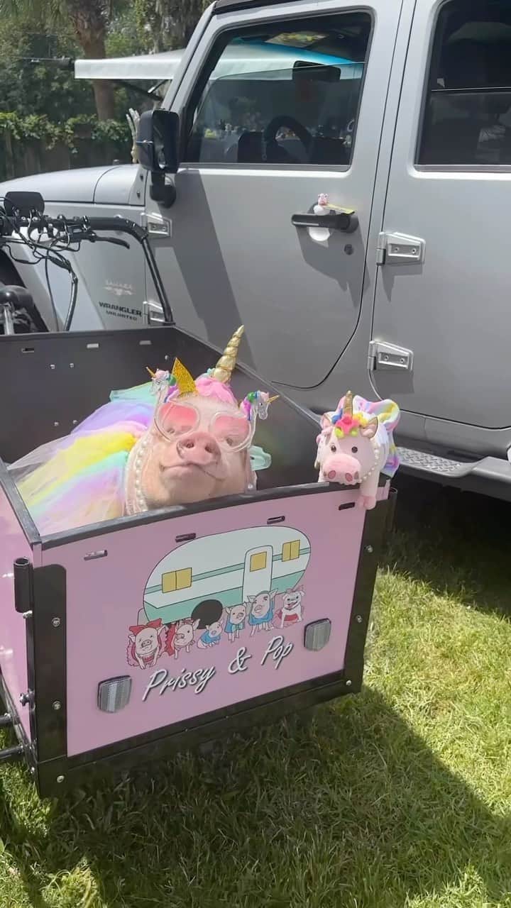 Priscilla and Poppletonのインスタグラム：「My mini me and I did a little Jeep ducking at our campground. We left unicorn ducks, of course. And guess what? We hit the goal, so my unicorn plush is definitely getting made. I’m so piggy excited. You still have a week left to order one, so grab one at the LINK IN OUR BIO before it’s too late. They won’t be available again, and you’re gonna wish you had one. Plus the proceeds help our rescued farm friends over @prissyandpops_helpinghooves, so it’s a win win. ThOINK you so much to everyone who placed an order and helped my piggy unicorn dream come true.🐷🦄#koacamping #prissyunicorn #duckduckjeep #PrissyandPop」