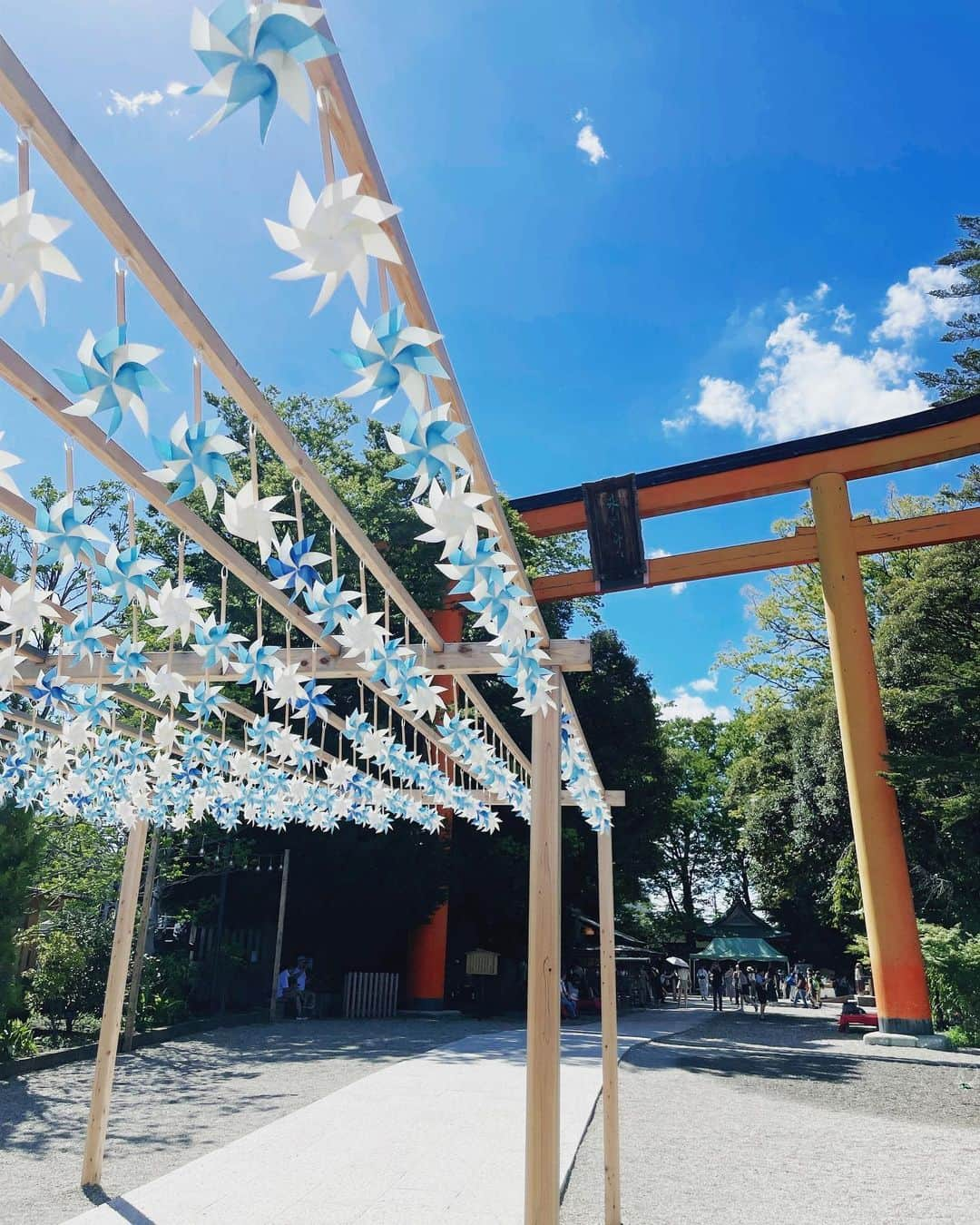 川越氷川神社さんのインスタグラム写真 - (川越氷川神社Instagram)「. 参道のかざぐるまは、9月18日頃まで設置予定です。  #川越氷川神社 #かざぐるま #小江戸川越 #川越 #埼玉 #kawagoe  #kawagoehikawashrine」9月8日 23時14分 - kawagoe_hikawa