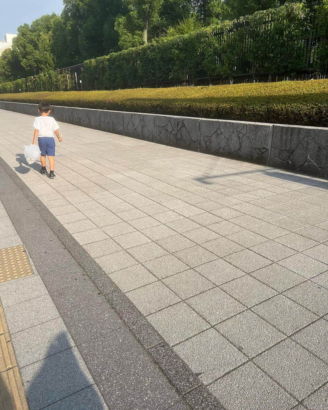 AZUSAのインスタグラム：「先日の話。  遅めのランチを食べに行った帰り道。息子7歳が急に街に落ちているゴミを拾い始めました。素手で拾おうとするので慌ててコンビニで袋とお箸を調達。  ガムの包装紙、よくわからない紐、空になったジュースの紙パック、なぜか新品の靴のソールが！他にもジャムパンの袋、マスクにティッシュも。色々ある中でぶっちぎりダントツで多かったのはタバコの吸い殻でした。  聞くと、学校で取り組んだ課外プロジェクトで「生き物を大切に」「ゴミを捨てない」と学習したようです。「植物は酸素を作ってくれるから緑もしっかり大切に」と言いながらコンクリートの隙間から伸びる葉に隠れるのゴミをつまんでは袋に収めていました。  何度も往復してる道なのにこんなにゴミが落ちているなんて！！だって私の目にはもう映らなくなってしまっていて。息子の目線で見ると、落ちてる落ちてるあそこにもここにもそこにも。  ふいに落としてしまったものもあるでしょう。でもそのほとんどのゴミに故意を感じずにいられず、寂しい気持ちになっていると、、息子が  「宝物も落ちてるかもしれないよね！落ちてないかなあ宝物」と目をキラキラさせて言うのです。  ゴミも見えなくなってる私。宝物も見落としてしまっているかもしれないです。  そもそも宝物って、、何だろう？  答えは見つかりませんが、、  大人が子どもたちに残す遺産がゴミでないように、それだけを願います。」