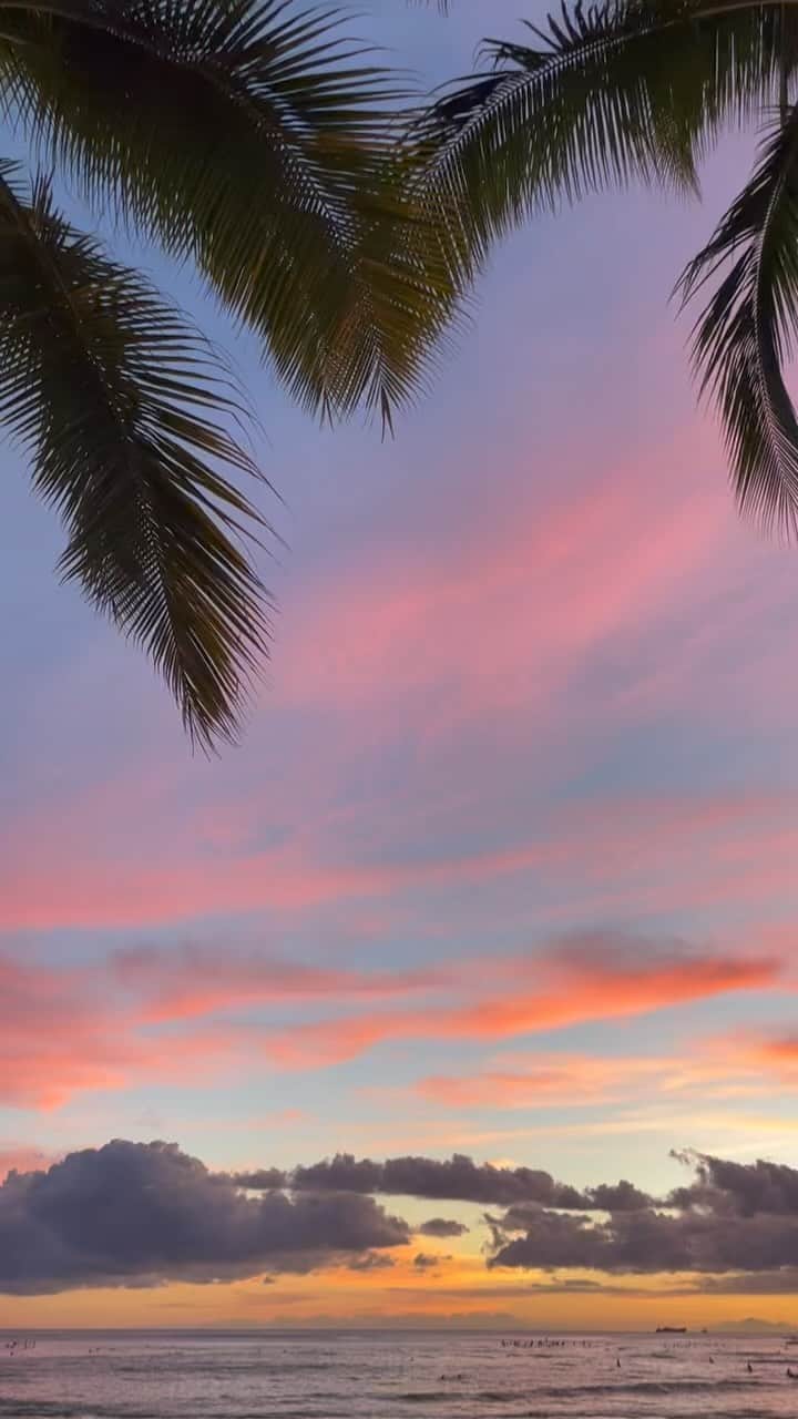 カナカ・ステラのインスタグラム：「The ocean and the sunset 🤍🌙」