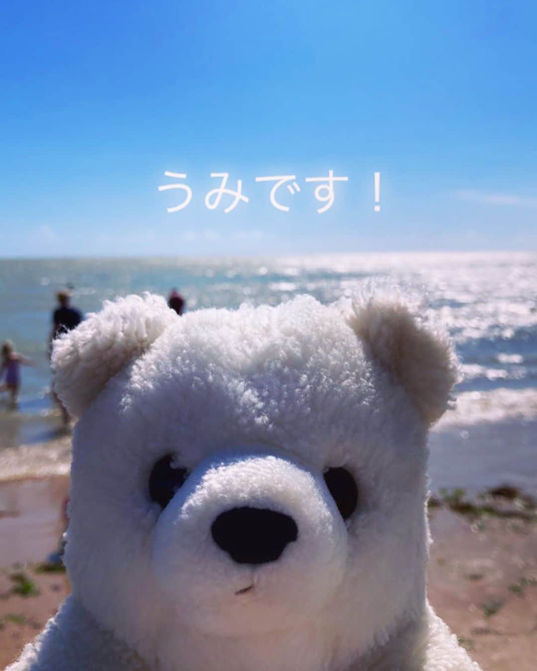 小明のインスタグラム：「🌊🐻‍❄️⛱️ 準備不足でビーチ行ったもんだからみんな足を貝殻でザクザクやられてたよ！」