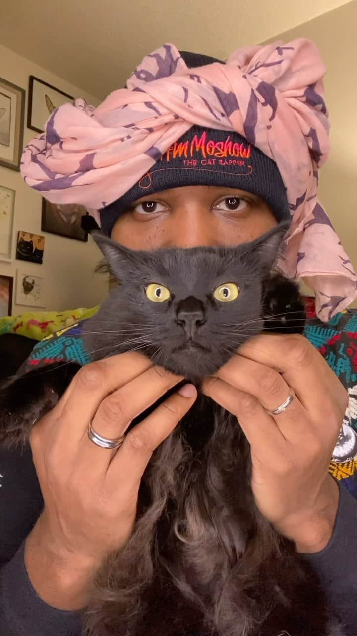 MSHO™(The Cat Rapper) のインスタグラム：「Welcome Back! To anybody who takes the time to read this.. know that YOU ARE IMPORTANT, YOU MATTER AND THANK YOU FOR LOVING YOUR CATS. Have a great day, COMMENT if you want MORE. #TheCatRapper #CatMan #CatMom #ASMR #Zen #Relax #Meditation #Calm #MoGang」
