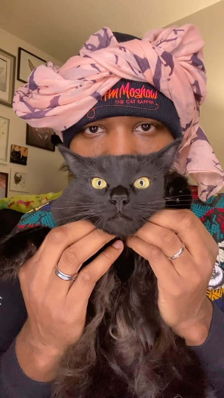 のインスタグラム：「Welcome Back! To anybody who takes the time to read this.. know that YOU ARE IMPORTANT, YOU MATTER AND THANK YOU FOR LOVING YOUR CATS. Have a great day, COMMENT if you want MORE. #TheCatRapper #CatMan #CatMom #ASMR #Zen #Relax #Meditation #Calm #MoGang」