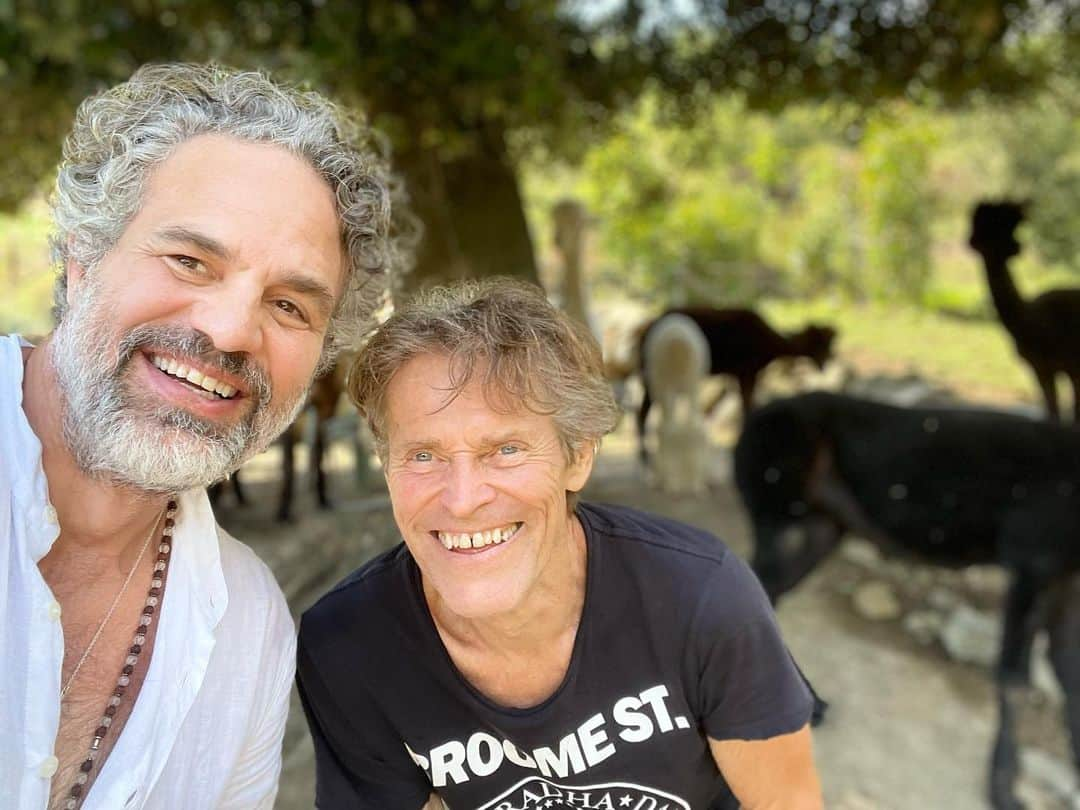 マーク・ラファロさんのインスタグラム写真 - (マーク・ラファロInstagram)「We made a new friend」9月9日 1時57分 - markruffalo