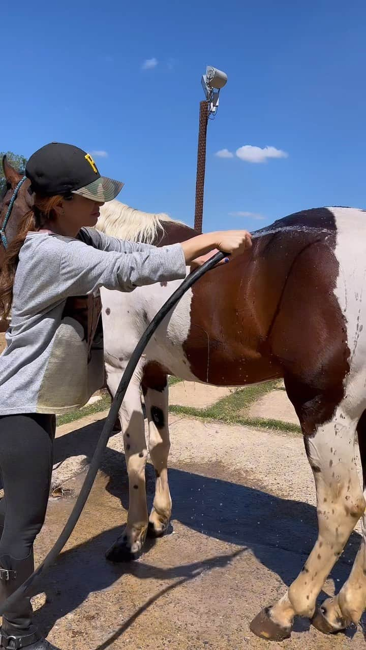 ポーラ・フェルナンデスのインスタグラム：「Dia de banho 🐴」