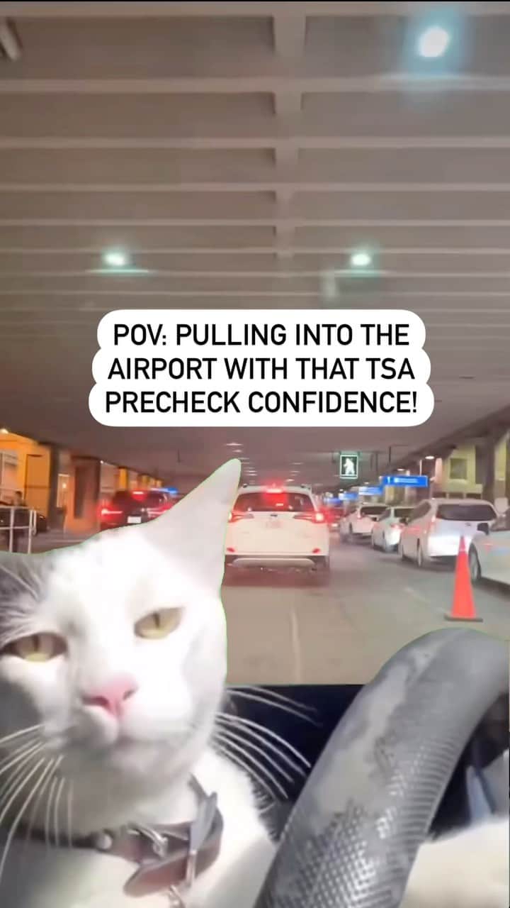 アメリカ運輸保安局のインスタグラム：「With the right cattitude, anything is pawsible…  Have you fur-gotten about signing up for TSA PreCheck? Purr-haps you can be purr-suaded with these purr-fect perks:   🐈You’ll be feline fine as you do your catwalk through screening with your shoes and belt on.  😺There’s nothing claw-ful about leaving travel-sized liquids and electronics in your carry-on bag.  🙀Litter-ally 99% of TSA PreCheck passengers wait ten minutes or less. We’re not kitten around!   Does all of this have you saying MEOW you’re talking? Well, catnip your way on up to the link in our bio. We’re sure you’ll be whiskered away with all the deets on traveling with ease.  #AirportParking #CatchingFlights #SteeringWheel」