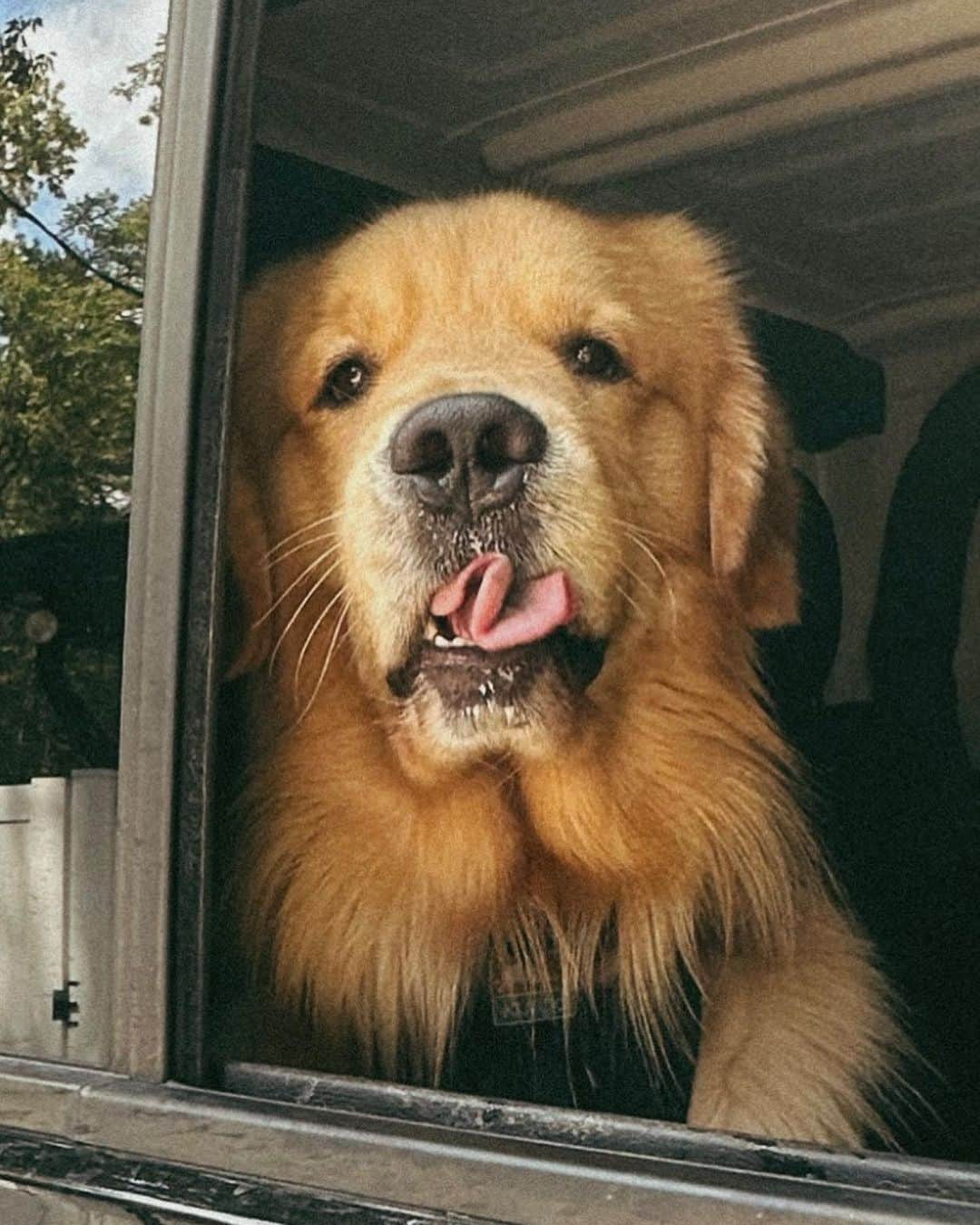 ショーン・ブースさんのインスタグラム写真 - (ショーン・ブースInstagram)「Tongue twister.」9月9日 4時27分 - shawn_booth18