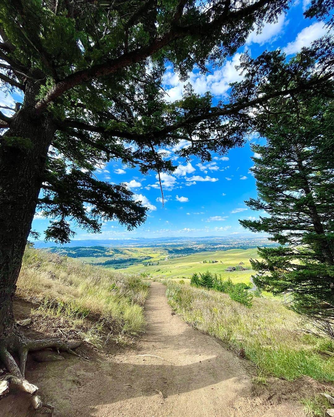 イリナ・ヴォロニーナのインスタグラム：「Went on a morning hike with my love @irinavoronina and some of the funny people from @lastbestcomedyfest in Bozeman, Montana. The M Trail provided beautiful views of Bozeman, and Big Sky waaaaaay off in the distance. Man, hiking at this altitude is no joke. 😅」