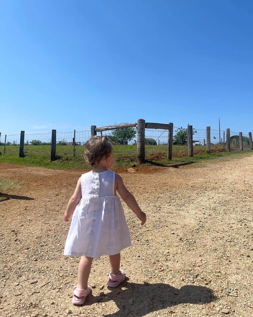 ELOUISE MORRISさんのインスタグラム写真 - (ELOUISE MORRISInstagram)「The Farm 🌸🪻🐓🐣🐝🌼」9月9日 6時50分 - ellemorrisxo