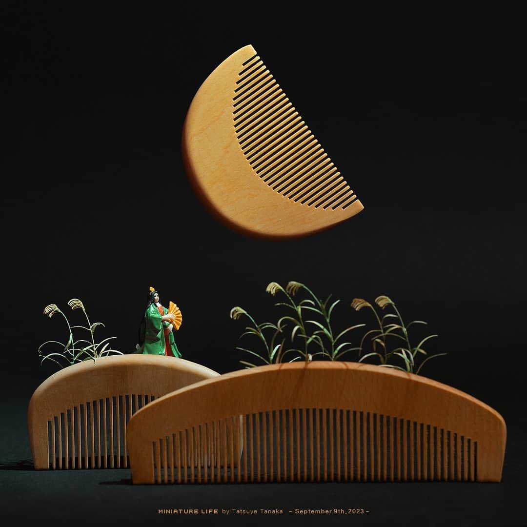 田中達也さんのインスタグラム写真 - (田中達也Instagram)「⠀ “Quarter Moon” ⠀ ⠀ 下弦のくし ⠀ ⠀ #🌗 ─────────────────── 《EXHIBITION info》 ⠀ 【ミニチュアの視点で見る日本－田中 達也 展】 Japan from miniatures - Tatsuya Tanaka at Japan House São Paulo until : Oct. 8, 2023 ⠀ 【ミニチュアライフ 神戸エアポート】 MINIATURE LIFE × KOBE AIRPORT ⠀」9月9日 7時00分 - tanaka_tatsuya