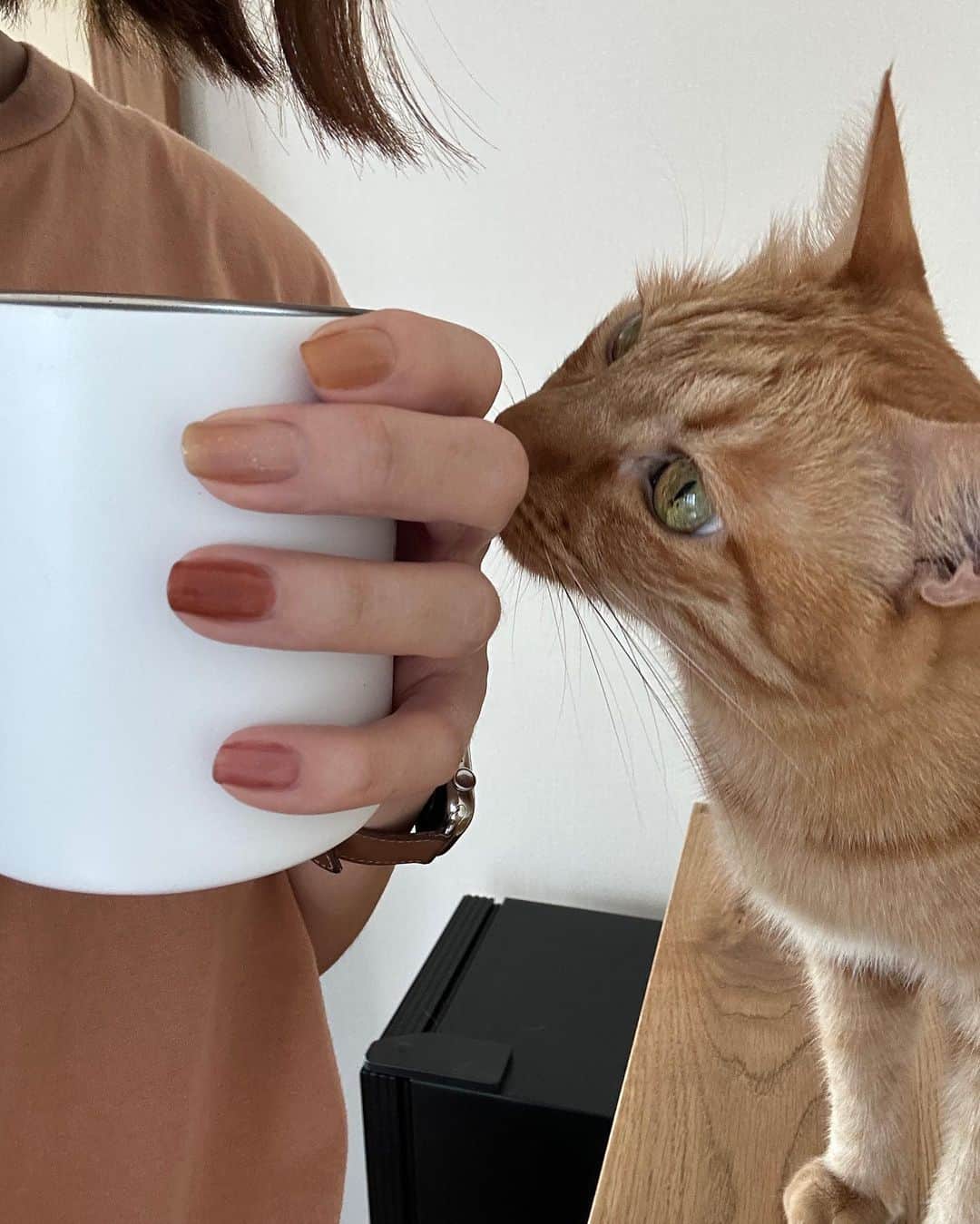 まつだみらいのインスタグラム：「最近の、マドレーヌ」