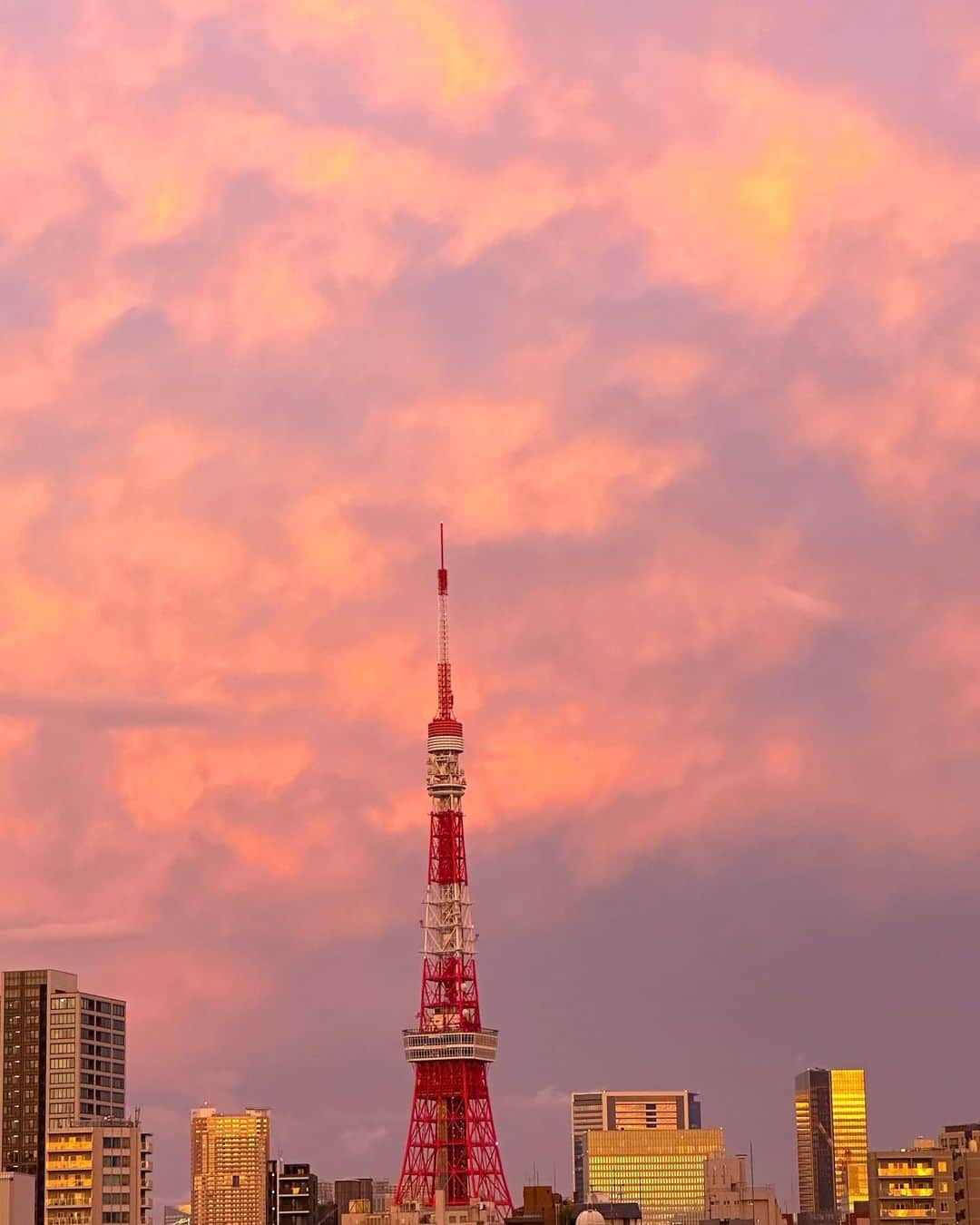 monmamichelleのインスタグラム：「美味しくて美しくて楽しい 色んな世界見に行こ #東京#tokyo#東京タワー#sunset」