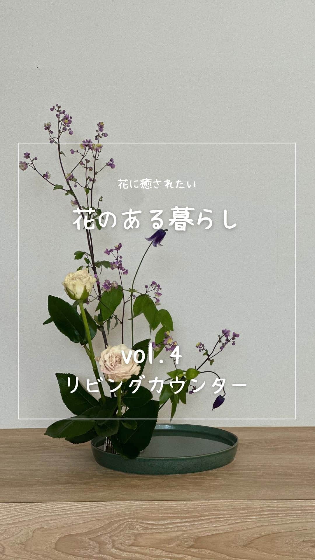 ミサワホーム株式会社のインスタグラム：「@misawahomes⠀ 花に癒されたい。「花のある暮らし」 ＜vol.4＞リビングカウンター  ￣￣￣￣￣￣￣￣￣￣￣￣￣￣￣ ふんわりと枝の先に薄紫色の花をつけているカラマツ草に、優しいニュアンスカラーのバラを合わせました。 ベル鉄線のうつむく姿が儚げです。 バラの澄んだ瑞々しい香りに癒されます。  Flower arrangement artist：Yosuke Yamashita @yosuke.muku1993 @hanamasa.motokeiba  ▼セッティングした展示場はこちら▼ オークラランド展示場 https://www.misawa.co.jp/navi/office/tokyo/177   ￣￣￣￣￣￣￣￣￣￣￣￣￣￣￣￣ #misawahome  #ミサワホーム  #モデルルーム  #モデルルームインテリア  #いけばな  #小原流  #小原流いけばな  #華道  #挿花  #黒い花器  #四季のある暮らし  #花のある生活 #花のある空間 #花のある部屋 #花のある暮らし🌼  #花と暮らす #季節のある暮らし  #季節の花を楽しむ  #はなすたぐらむ #花遊び #ohararyuu #ikebana #紫陽花が好き #パピルス #シペラス #カヤツリグサ #ヒメトラノオ #ペンダント照明  #タイムラプス  #タイムラプス動画」