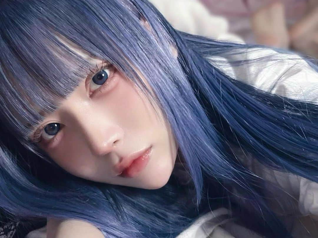 にゃんぽこらのインスタグラム