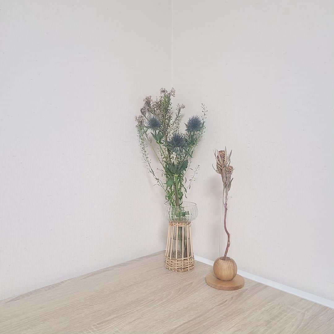のインスタグラム：「切り花を 飾って みました。  右はドライフラワーです。  私の部屋、植物だらけで 空気が良い。気がする。  #花」