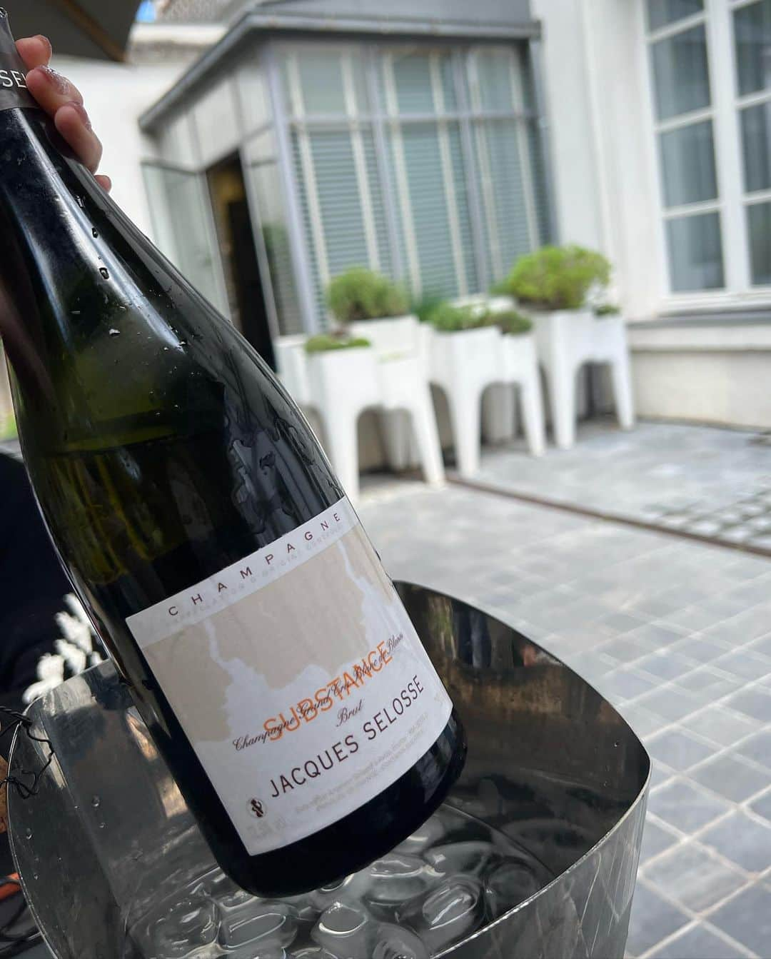 平山美春さんのインスタグラム写真 - (平山美春Instagram)「📍𝐂𝐡𝐚𝐦𝐩𝐚𝐠𝐧𝐞-𝐑𝐞𝐢𝐦𝐬  🍾Jacques Selosse 🍾Pommery 👀 Cathédrale Notre-Dame de Reims  大好きなところを中心に✨ セロスでは現地の価格に驚き、セロスさんにも遭遇！ ポメリーのアートコレクションは驚くくらい豊富で美術館のようだった👏 シャンパーニュ、アートの切っても切れない関係を改めて体感！  ランス大聖堂では入り口の「微笑みの天使」に迎え入れてもらい(13世紀のゴシック建築、彫刻としてはこの表情はとても珍しいそう)、お目当てのシャガールブルーのステンドグラスを見に👀 まるでシャガールがその場で描いたような美しさに、目の前から動くことができなかった  この時代のゴシック建築が大好きで、教会ばかり見に行ってた建築学生時代 最近は日本にも目を向けて日本美術と自社仏閣との関係性も少しずつ勉強しています😊  一つ一つの内容が濃すぎて、頭で消化するのに少し時間がかかってしまったけど、素晴らしい時間だった👏  #champagne  #champagnelover  #jacquesselosse  #pommery」9月9日 19時32分 - miharuhirayama