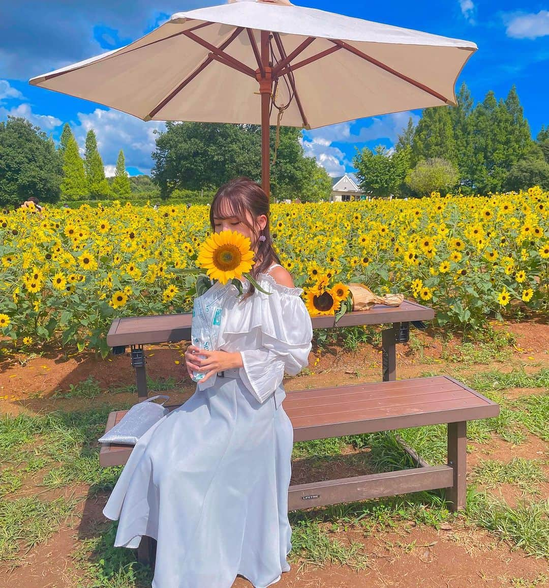 天間晴香のインスタグラム：「こーゆー場所に来たら皆白い服着がち🌻🌞👒👗👡  周りほぼワンピース、白い服でした👒🌞✌️  #世羅高原農場 #はるちむ #天間晴香 #晴れ女 #広島ひまわり畑 #ひまわりまつり #ひまわり畑 #ひまわり畑コーデ #花畑コーデ」